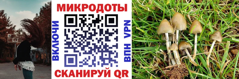 Псилоцибиновые грибы ЛСД  Назарово 