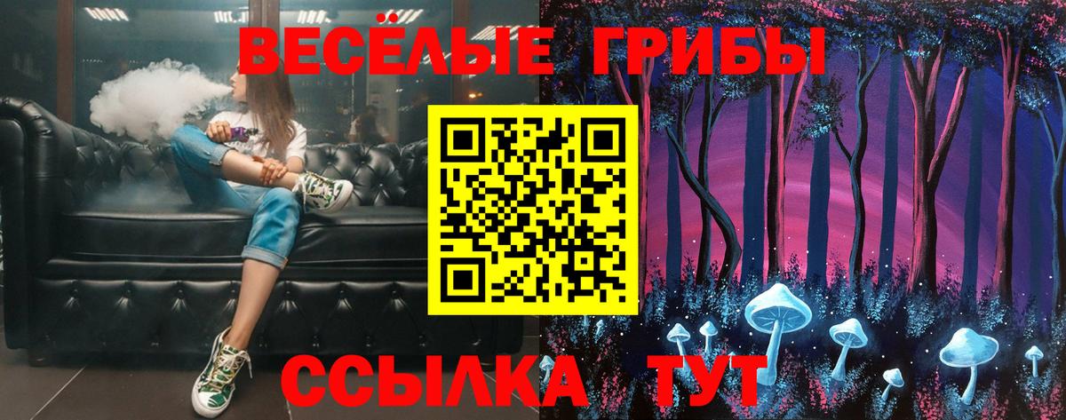 Псилоцибиновые грибы Psilocybine cubensis  Назарово 