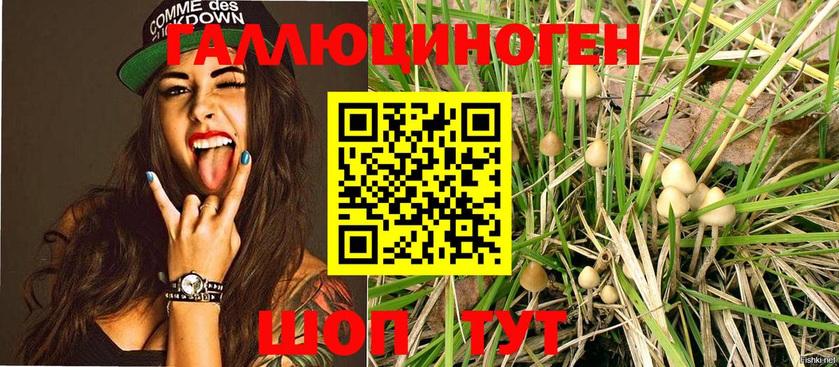 Псилоцибиновые грибы Magic Shrooms  Вход с VPN  Псилоцибиновые грибы MAGIC MUSHROOMS  Назарово 